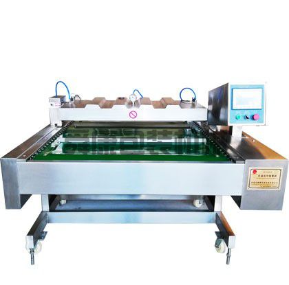 傳送帶式真空包裝機