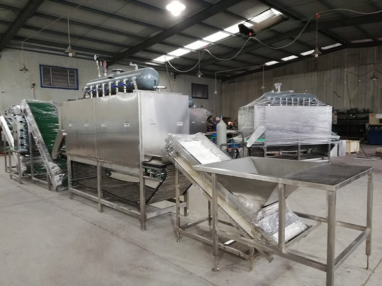 大蒜去皮機(jī)