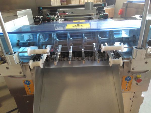 DLZ520系列自動連續真空包裝機(圖3)