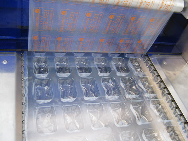 DLZ320-420系列自動連續真空(圖4)