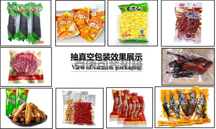 DZ700.2S真空（充氣）包裝機(圖3)