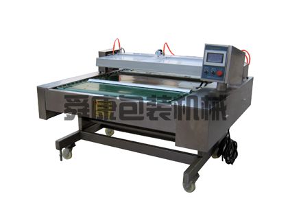 DZ-1100型自動真空包裝機(jī)（電腦型）(圖1)