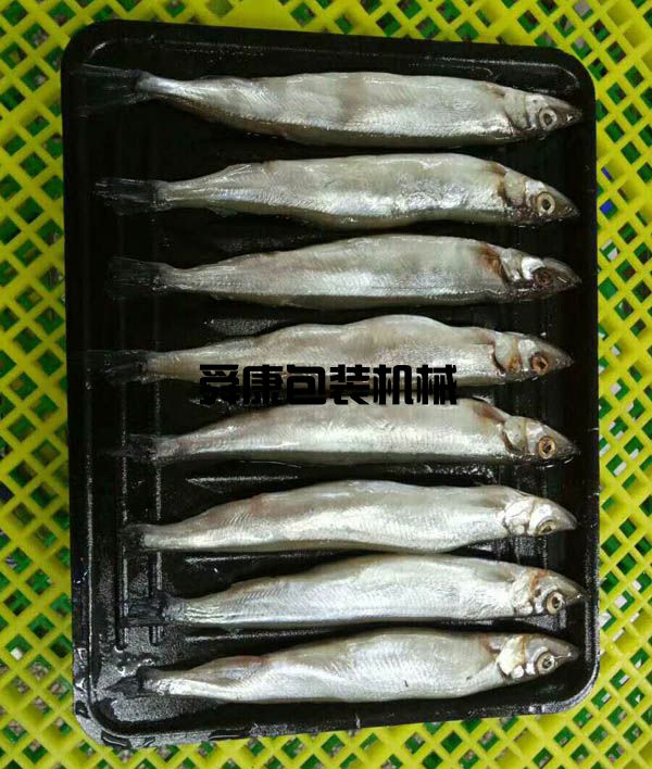 真空貼體包裝機(圖8) 真空貼體包裝機(圖8)